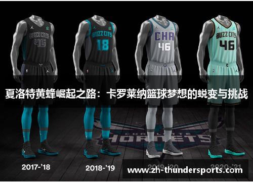 夏洛特黄蜂崛起之路：卡罗莱纳篮球梦想的蜕变与挑战