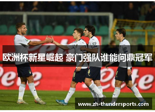 欧洲杯新星崛起 豪门强队谁能问鼎冠军