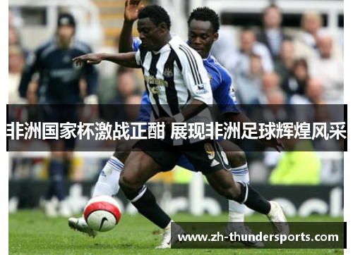 非洲国家杯激战正酣 展现非洲足球辉煌风采